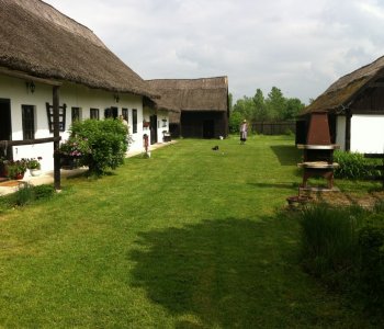 Predané: Väčšia chalupa v Gabčíkove, časť Dedinský ostrov, 5600m2.-1