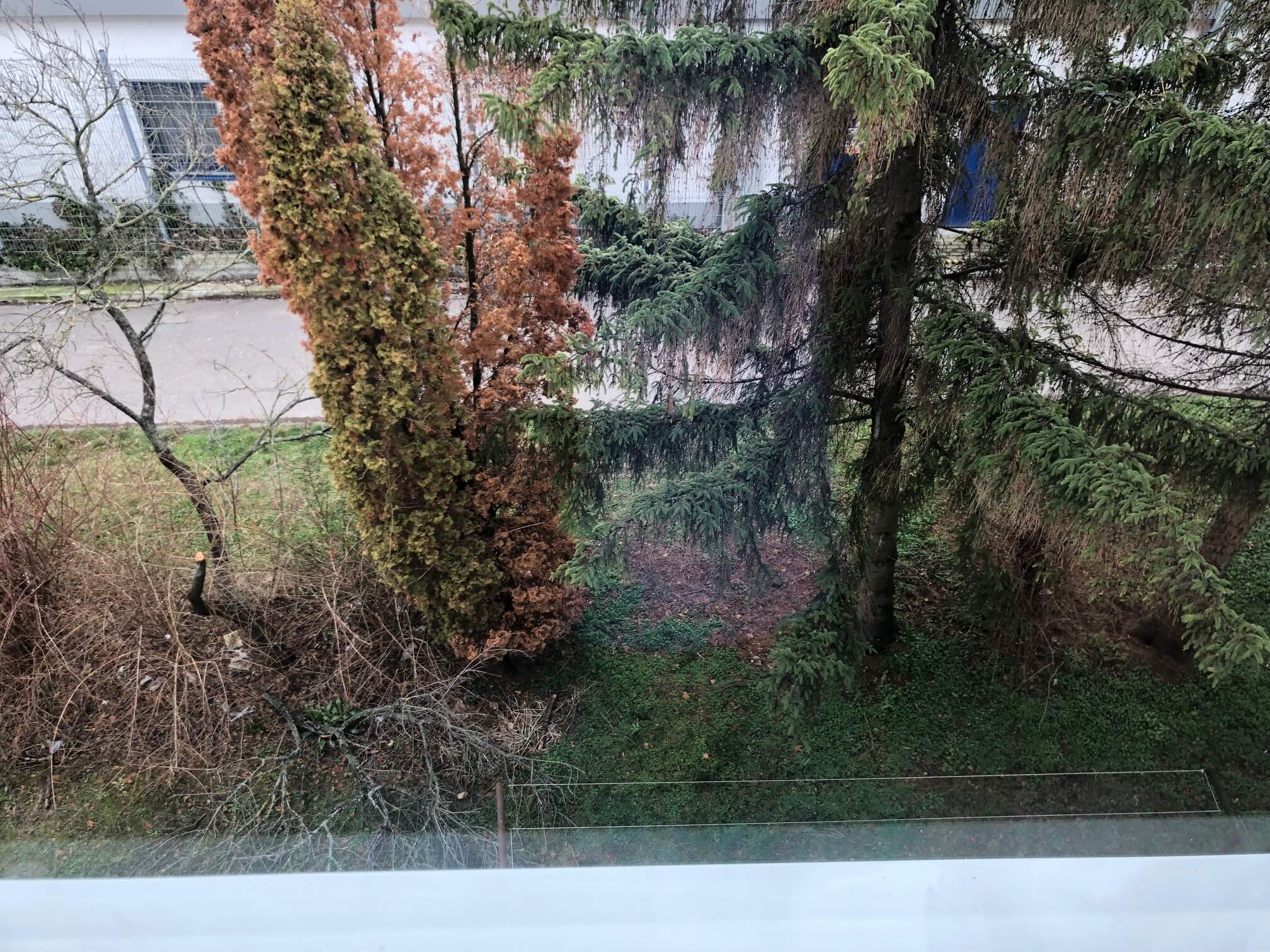 Predané – Predaj 2 izb. bytu, 53m2, Hubeného v Rači, kompletne zrekonštruovany-6