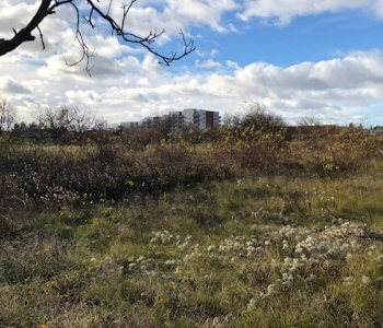 Predané: Stavebný pozemok na dvojdom Bernolákovo, pri hlavnej ceste, Senecká, oproti Shell pumpe, 1573m2,-2