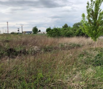 Predané: Pozemok pre výstavbu RD, Čunovo, Dolné kostolné polia, 1000m2-0