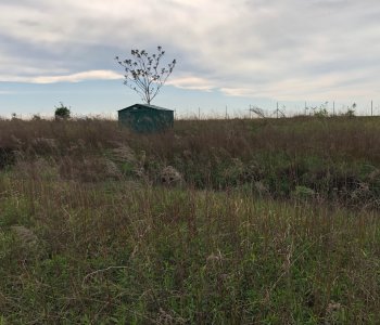 Predané: Pozemok pre výstavbu RD, Čunovo, Dolné kostolné polia, 1000m2-2