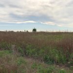 Predané: Pozemok pre výstavbu RD, Čunovo, Dolné kostolné polia, 1000m2-7