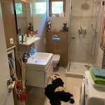 Predané: Predaj Rodinný dom v Šoporni, v tichej lokalite, pozemok 674m2, úžitková plocha 181m2,záhrada, kôlňa-21