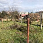 Prenajaté: Exkluzívne: Rodinný dom, 4 izbový, Šalgočka úžitková 140m2, podpivničenie 120m2, pozemok 1500m2-21