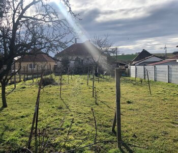 Prenajaté: Exkluzívne: Rodinný dom, 4 izbový, Šalgočka úžitková 140m2, podpivničenie 120m2, pozemok 1500m2-3