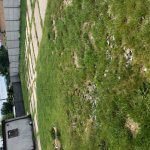 Predané: Veľkopriestorové sklady, garáže, pozemok 9000m2, sklady spolu 2045m2, Pezinská ulica Vinosady,-6