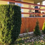 Predané: Exkluzívne 3 izbová chata o výmere 70m2 s 300m2 pozemkom, 2 podložná, v Gabčíkove pri hrádzi, kompe-36
