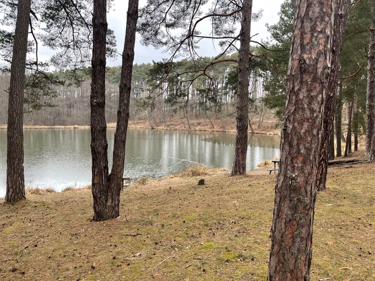 Predané: Rybník, orná pôda, trvalé trávnaté porasty spolu 9 541,9 m2, Tančiboky, pri Studienke, za Malackami-1