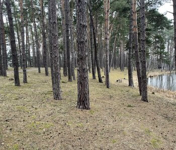 Predané: Rybník, orná pôda, trvalé trávnaté porasty spolu 9 541,9 m2, Tančiboky, pri Studienke, za Malackami-2