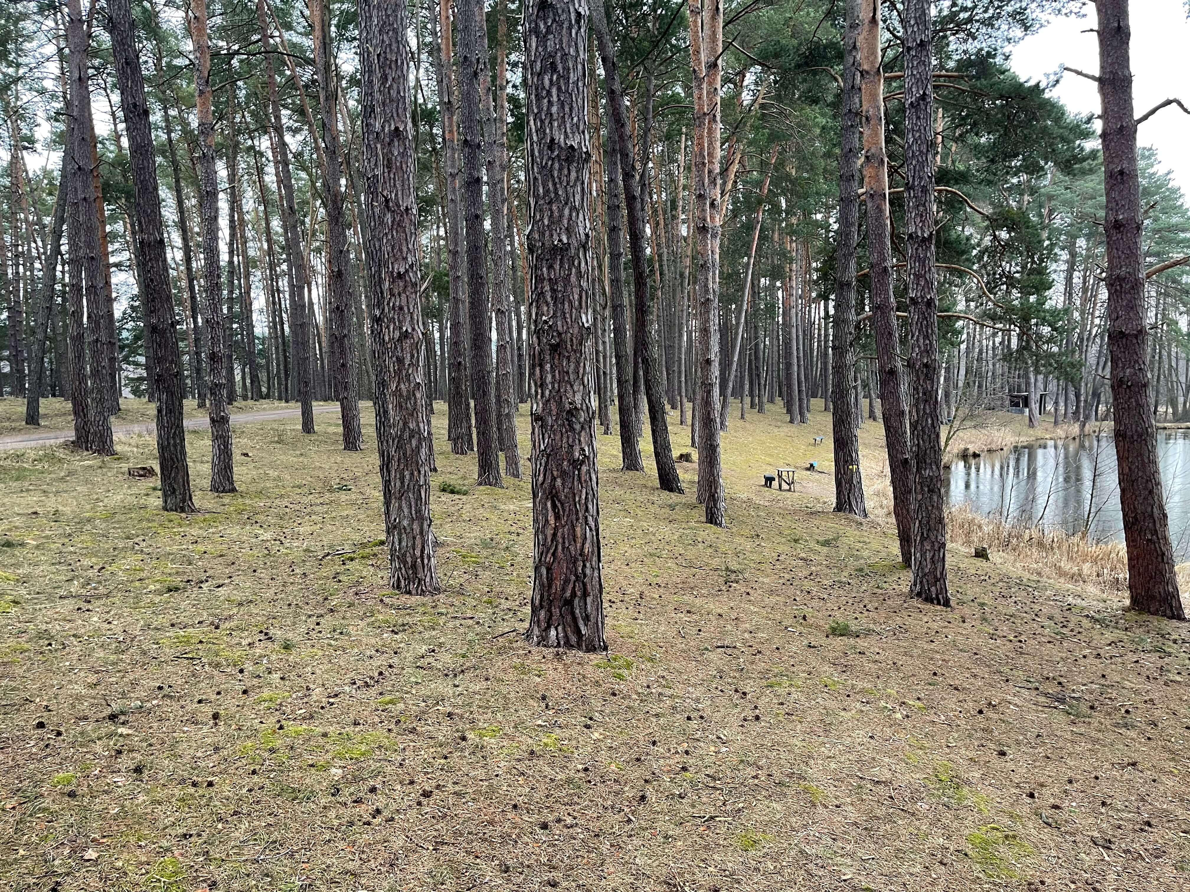 Predané: Rybník, orná pôda, trvalé trávnaté porasty spolu 9 541,9 m2, Tančiboky, pri Studienke, za Malackami-2