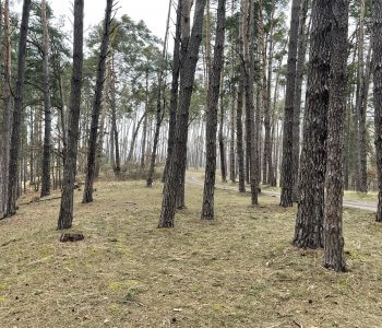 Predané: Rybník, orná pôda, trvalé trávnaté porasty spolu 9 541,9 m2, Tančiboky, pri Studienke, za Malackami-3