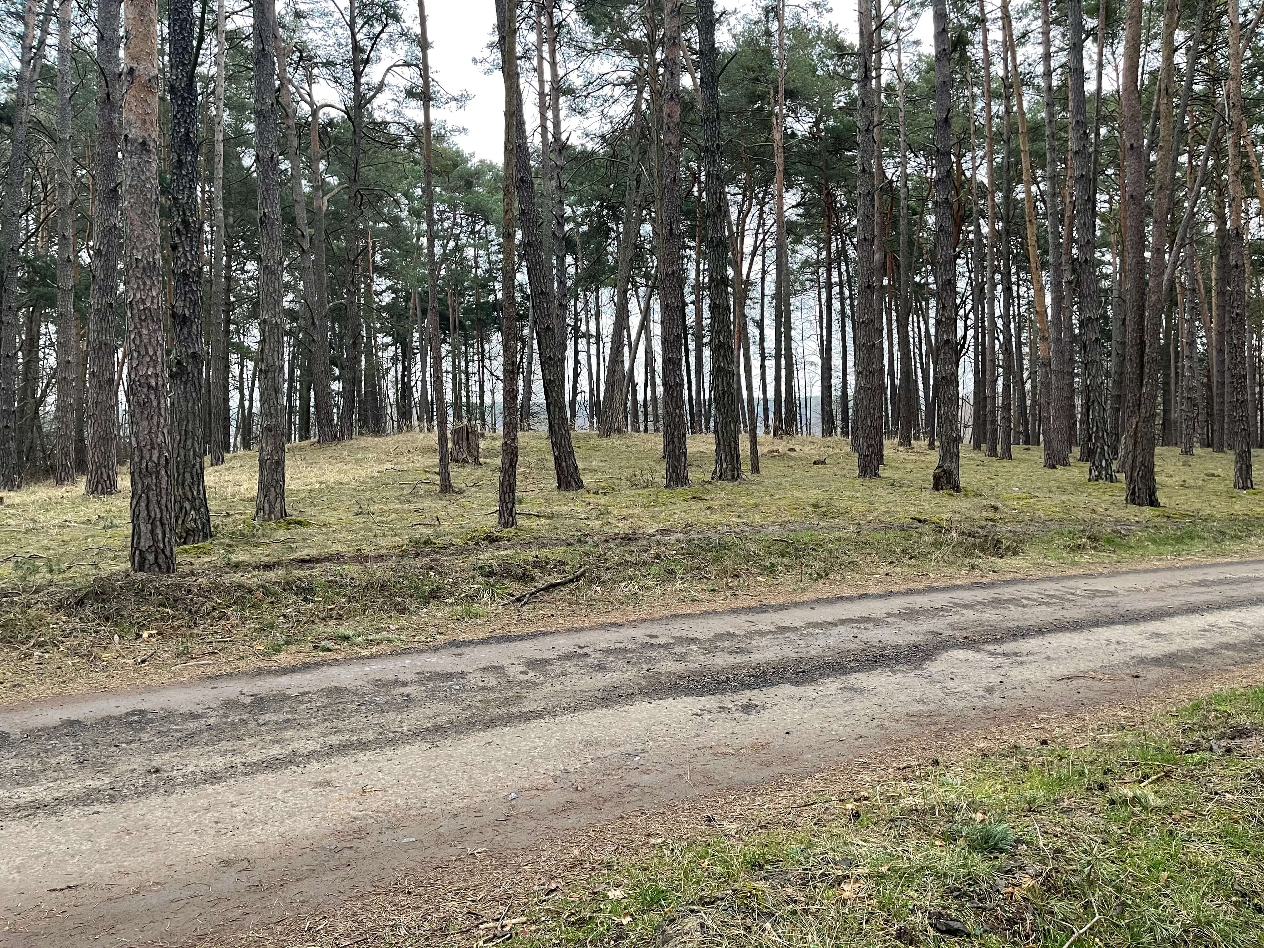 Predané: Rybník, orná pôda, trvalé trávnaté porasty spolu 9 541,9 m2, Tančiboky, pri Studienke, za Malackami-5
