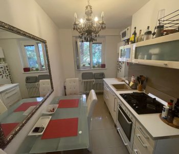 Prenajatý: Prenájom 1,5 izbový byt, Šancová 55, zrekonštruovaný, 44m2, pivnica 3m2 + 5m2-2