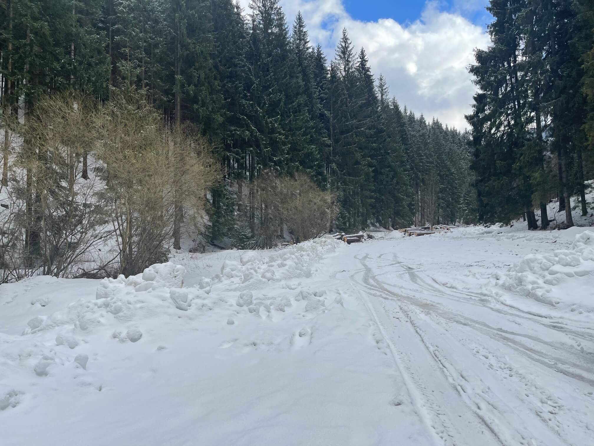 Predané: Chalupa, úžitková plocha 120m2, pozemok 225m2, 4 izby, Liptovské Revúce, pri Donovaloch-45