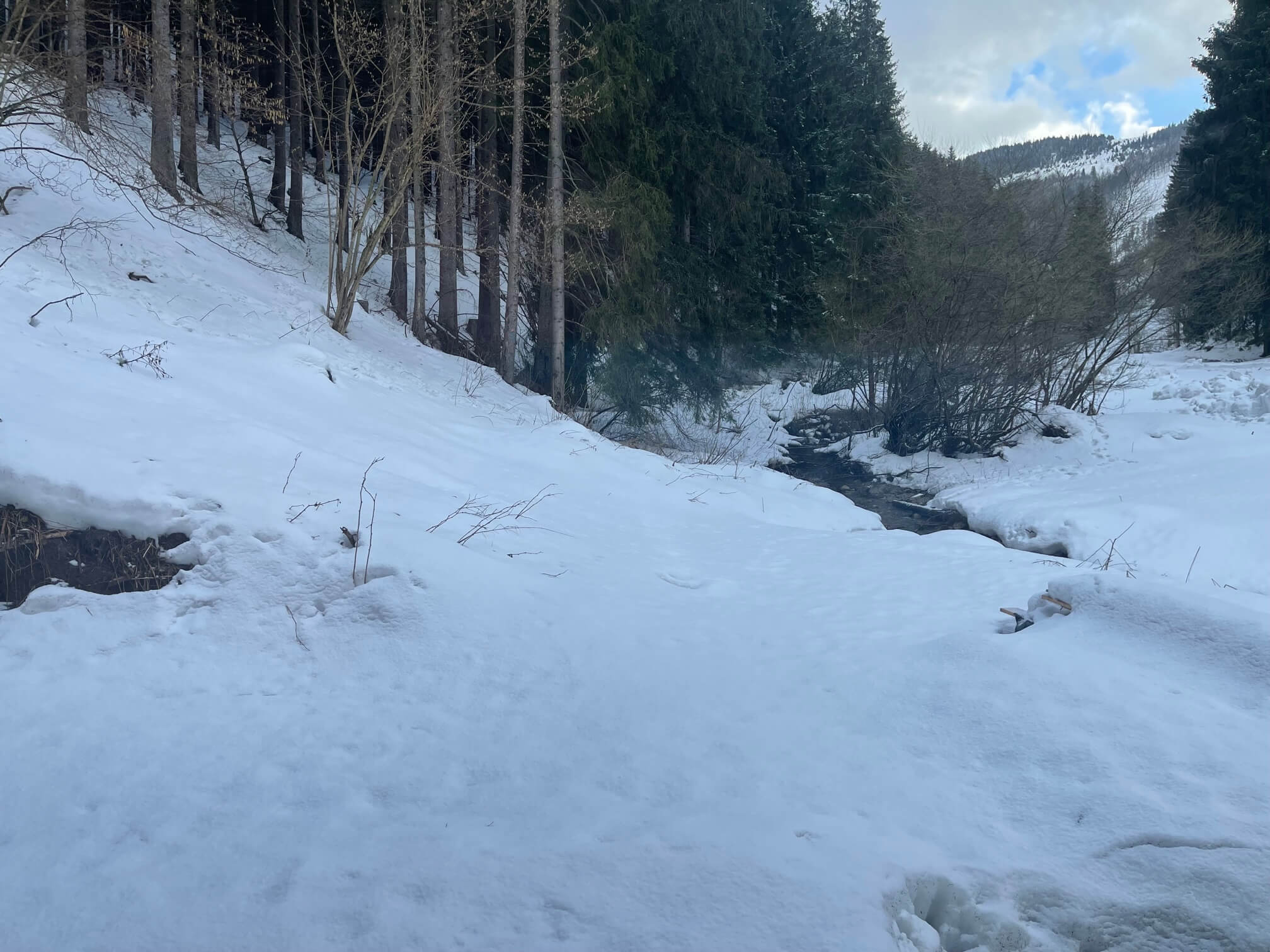 Predané: Chalupa, úžitková plocha 120m2, pozemok 225m2, 4 izby, Liptovské Revúce, pri Donovaloch-36