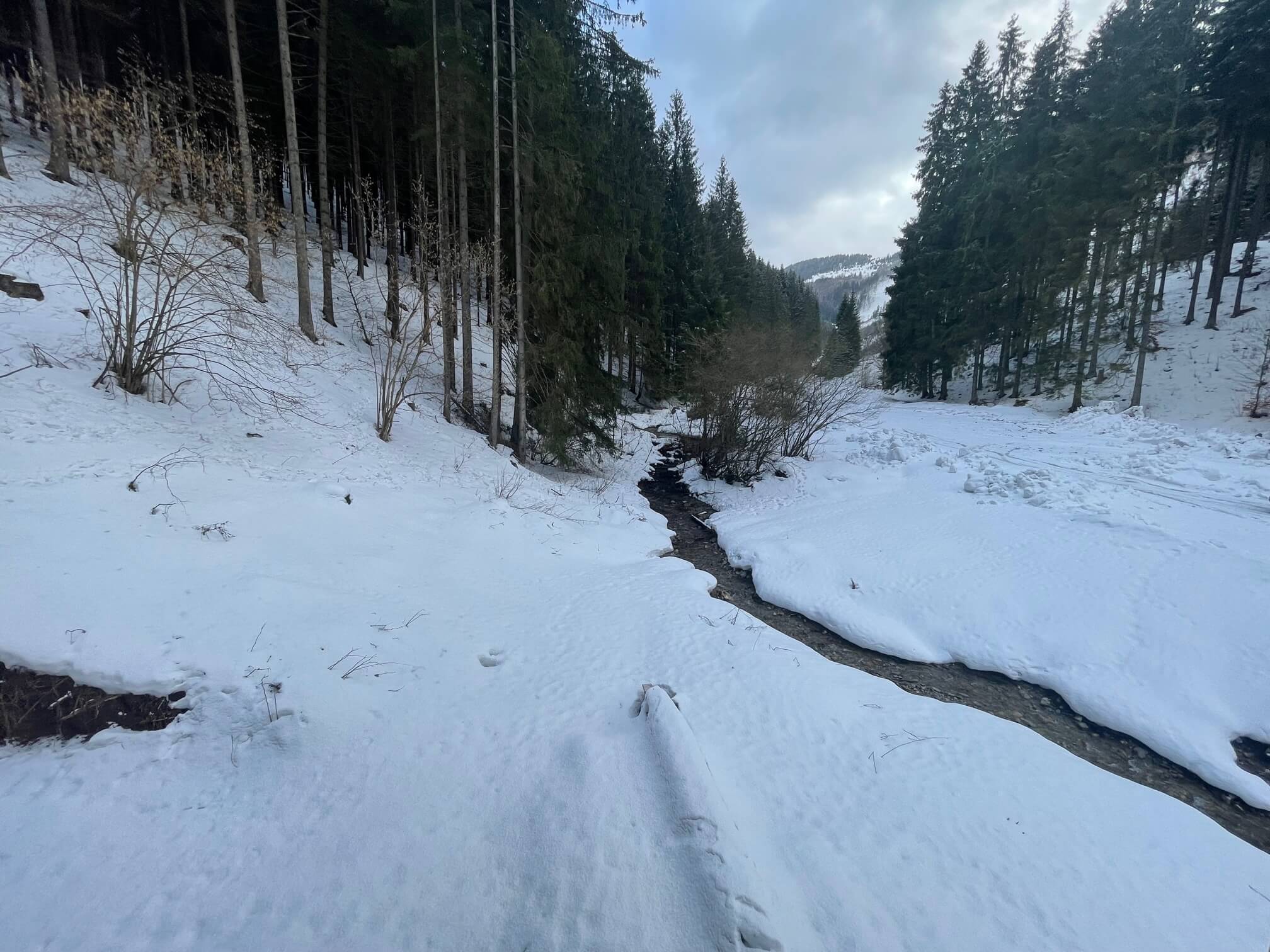 Predané: Chalupa, úžitková plocha 120m2, pozemok 225m2, 4 izby, Liptovské Revúce, pri Donovaloch-34