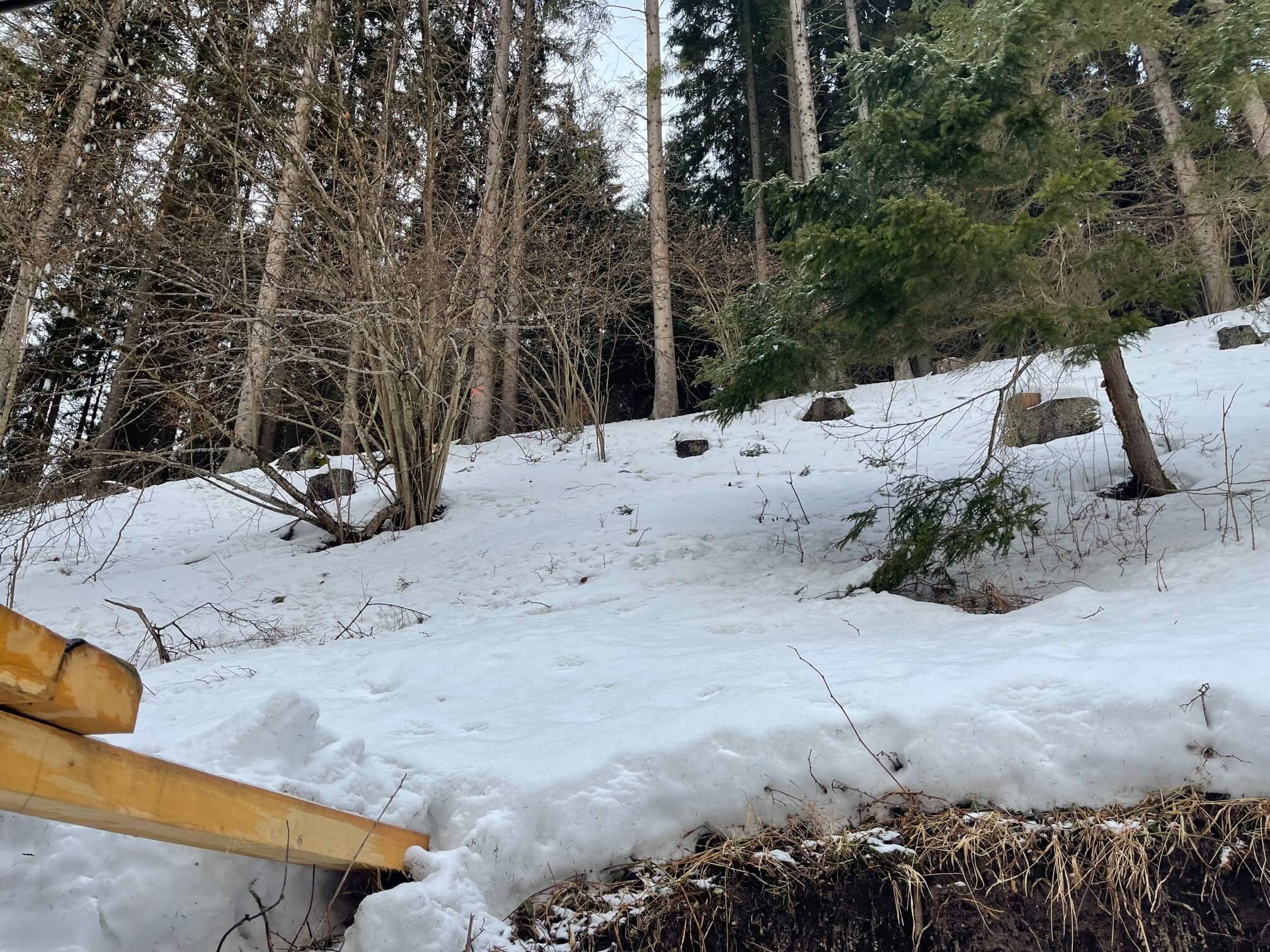 Predané: Chalupa, úžitková plocha 120m2, pozemok 225m2, 4 izby, Liptovské Revúce, pri Donovaloch-27
