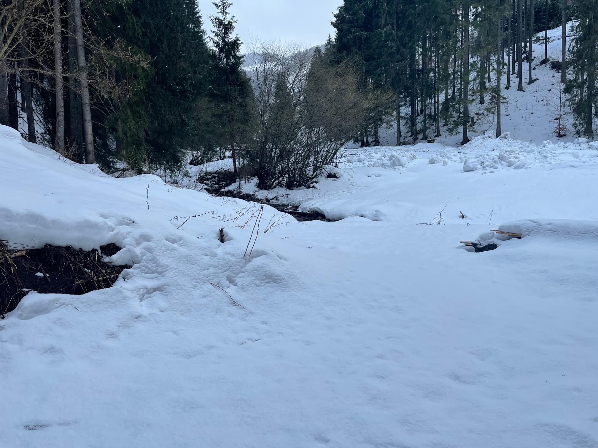 Predané: Chalupa, úžitková plocha 120m2, pozemok 225m2, 4 izby, Liptovské Revúce, pri Donovaloch-25