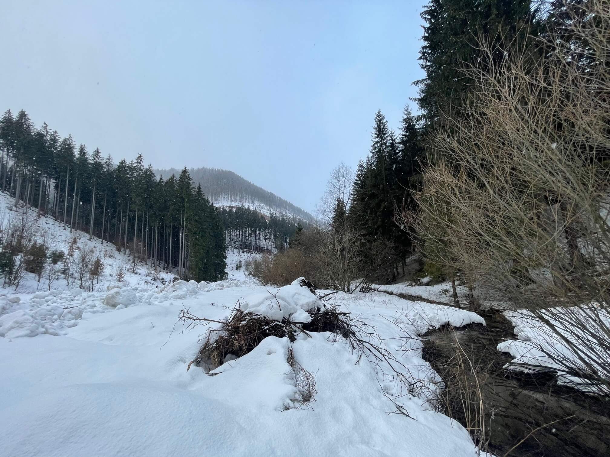 Predané: Chalupa, úžitková plocha 120m2, pozemok 225m2, 4 izby, Liptovské Revúce, pri Donovaloch-11