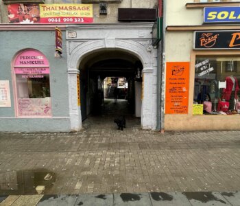 Prenajaté: Obchodný priestor na prenájom,Obchodná 36,Fastfood-3