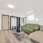 Veľký 9 izbový RD, 3 samostatné vstupy, úžitková 403m2, pozemok 666m2, Podunajské Biskupice-19