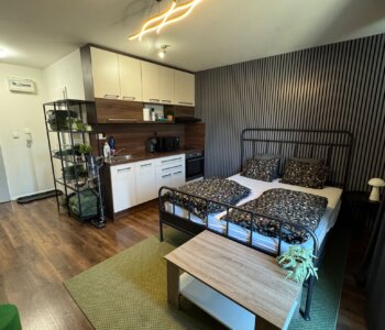1 izbový byt, úžitková 25,13m2, balkón 4,16m2, parkovacie miesto, kobka, Rača-Na pasekách-0