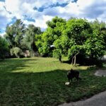Stavebné pozemky Bratislava, Devínske jazero-4